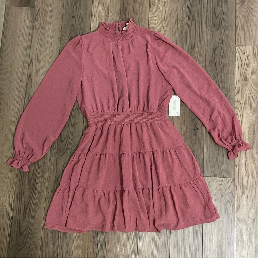 Sweet Wanderer Baby Doll Blush Pink Dress NWT